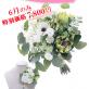 6月限定!!　ゴージャスな
ボタニカルブーケが驚きの 7,800円!!