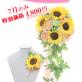 7月限定!!　夏の薫りいっぱい♪♪
向日葵のブーケが驚きの 4,800円!!